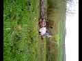 slindon-evry1 falling off bikes #3