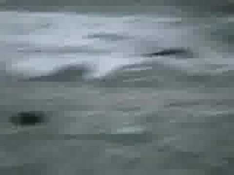 Shredd & Ragan - PS3 Over Niagara ...