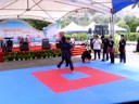 中華武術散打搏擊協會2008K-1優勝《排灣勇者》楊東雄，2007北京格鬥優勝《格鬥小天王》范仲杰率本會黑、褐帶好手黃國洋、鄭宇哲、張傑、阿岳、阿倫等做散打搏擊系列精采展演