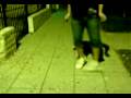videos de Intento de baile..jaja