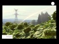 Euronews Hi-tech - Conférence De Washington : Concilier Besoins Énergétiques Et Écologie