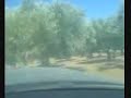 VW TIGUAN MOUNTAIN CLIMBING IN CAR CAMERA GREECE PART 2/2