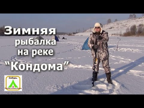 прогноз клева в городе прокопьевск прогноз клева в городе прокопьевск