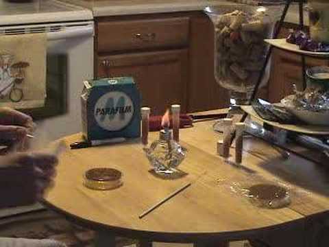 how to isolate a strain on agar