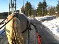 CIMG5940.MOV
