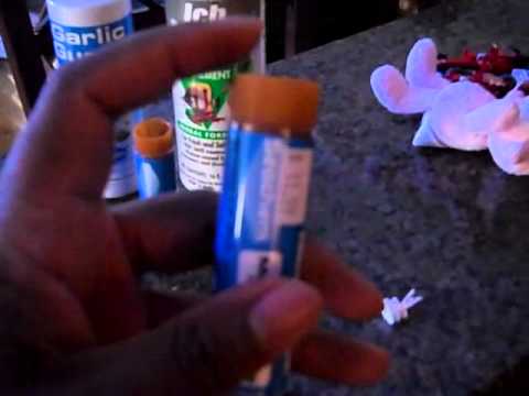 how to cure ich in a reef tank