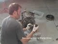 Renesis Disassembly