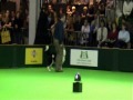 Crufts 2007 - Obedience Championship - Lee & Fisher - full round