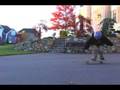 Skate Sesh Oct 30 '08