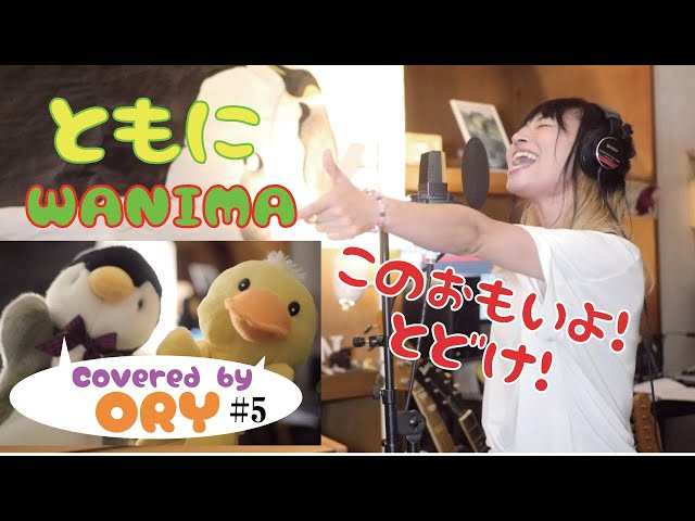 ともに /WANIMA (covered by 福山沙織)【女性が歌う】【アコースティックギターアレンジ】