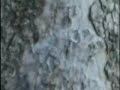 Almost Filmer Asshole