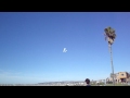 FLYING FISH Electric RC Plane OB San Diego - TROUT.MP4