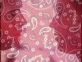 Men Kissing in a Red Hankey Pattern Men Kissing in a Red Hankey Pattern