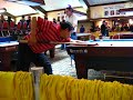 Efren Reyes Stroke Analysis (2007 DCC--Side)