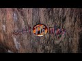 HYPNOTIZED MINDS V16 - Zach Galla