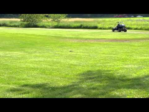 maxxam -