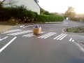 monky roule dans devinez quoi? un carton!