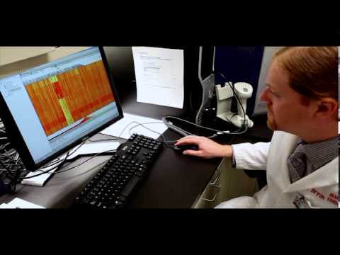 biobank - Beaumont's BioBank uses molecular and genetic bio markers to help detect cancer and other diseases in its early stage and help individualize treatment. Learn...