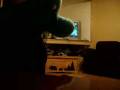 videos de I HATE SMURF
