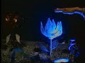 Cyberflora