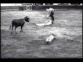LOPSIDED age 26 Bertha, female bullfighter, matadore in Colombia LOPSIDED age 26 Bertha, female bullfighter, matadore in Colombia