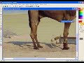 Eliminar objetos de una fotograf�a