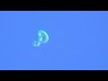 EBANIS EBANI MEXICO DF SKY SERPENT OVNI UFO 2011