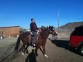 Chava a caballo