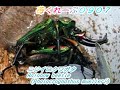 ニジイロクワガタ(Phalacrognathus muelleri)Rainbow beetle の交尾・繁殖の動画映像