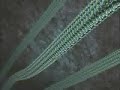 biologia-leucocito-celula-subtitulado.html