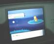Shiny Magby with Poké Radar