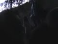 Borka peva Mito bekrijo