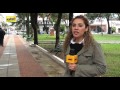 Arboles en la Plaza Uruguaya