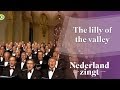 videos de The lilly of the valley