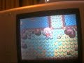 pokemon pearl catching shaymin(english version)