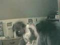Damp framför webcam