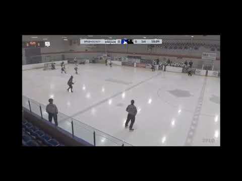 Full shifts from my time in the EOJ (#22)  from the OJHL combine (#5) from the LATAM cup in Vegas with PR (#64)