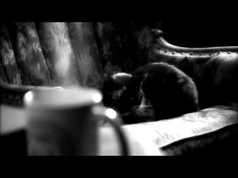 YouTube előnézeti kép