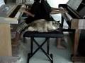 Spinning Song Twins Playing 2 Pianos