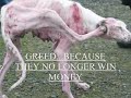 This is a video that the user has chosen on youtube