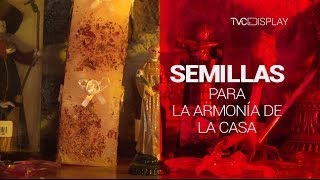 Semillas para la armonía de la casa (TD)