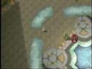 Pokemon PBR Wi-Fi battle #9