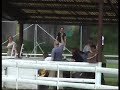 GP Bohemia 25.5.2008 - fin�le \"A\" vipet feny