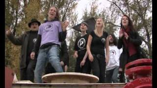 Průzkum: Piráti by se poprvé dostali do sněmovny, volby by vyhrálo hnutí ANO s náskokem před ČSSD