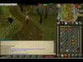 Runescape=Your A Noob