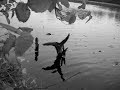 Re. The Falling Re. The Falling