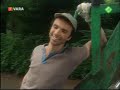 12 steden, 13 ongelukken - Klussen