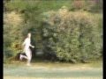 Buissonland-2