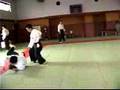 The Most Modern Budo