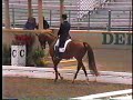 Hawkesbury and Jeremy Steinberg Grand Prix at Del Mar Hawkesbury and Jeremy Steinberg Grand Prix at Del Mar